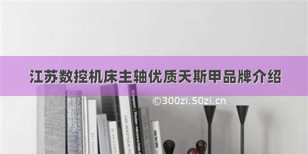 江苏数控机床主轴优质天斯甲品牌介绍