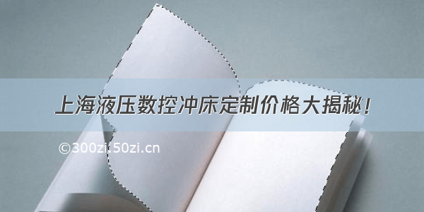 上海液压数控冲床定制价格大揭秘！