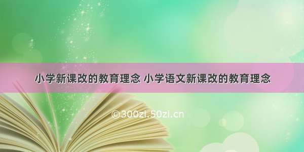 小学新课改的教育理念 小学语文新课改的教育理念