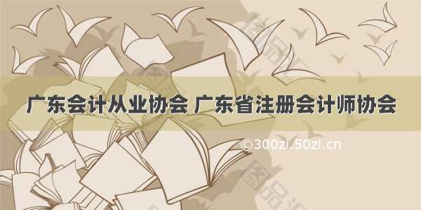 广东会计从业协会 广东省注册会计师协会