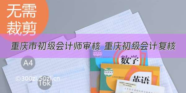 重庆市初级会计师审核 重庆初级会计复核