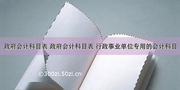 政府会计科目表 政府会计科目表 行政事业单位专用的会计科目