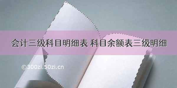 会计三级科目明细表 科目余额表三级明细