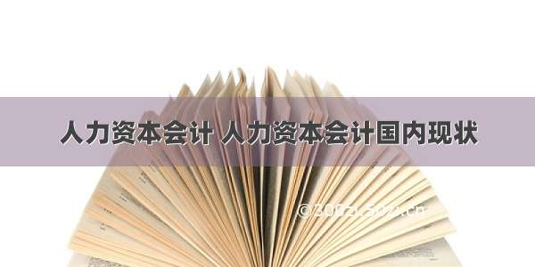 人力资本会计 人力资本会计国内现状