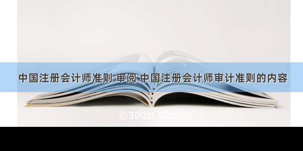 中国注册会计师准则 审阅 中国注册会计师审计准则的内容