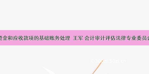 货币资金和应收款项的基础账务处理  王军 会计审计评估法律专业委员会主任