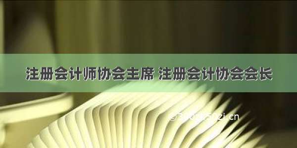 注册会计师协会主席 注册会计协会会长