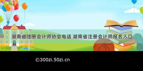 湖南省注册会计师协会电话 湖南省注册会计师报名入口