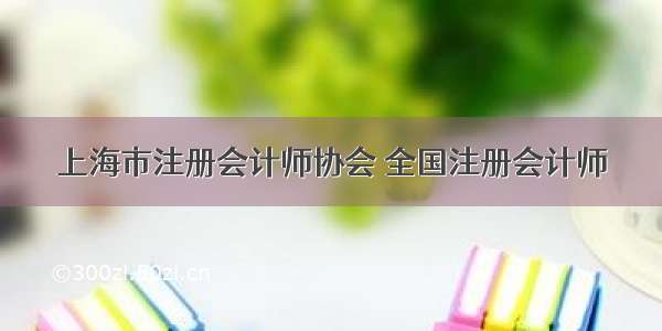 上海市注册会计师协会 全国注册会计师