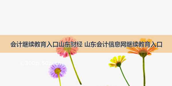 会计继续教育入口山东财经 山东会计信息网继续教育入口