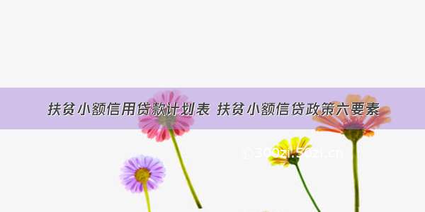 扶贫小额信用贷款计划表 扶贫小额信贷政策六要素