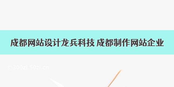 成都网站设计龙兵科技 成都制作网站企业