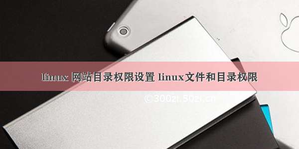 linux 网站目录权限设置 linux文件和目录权限