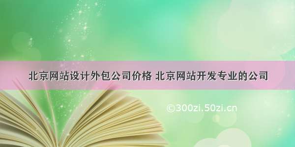 北京网站设计外包公司价格 北京网站开发专业的公司