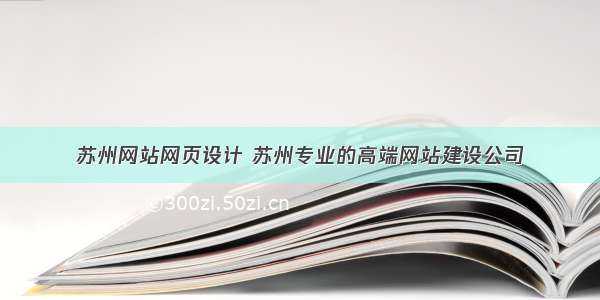 苏州网站网页设计 苏州专业的高端网站建设公司
