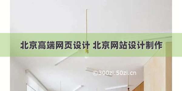 北京高端网页设计 北京网站设计制作