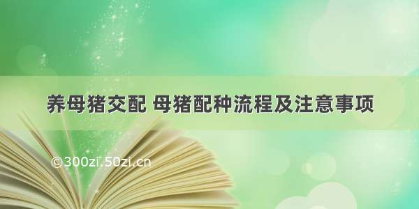 养母猪交配 母猪配种流程及注意事项