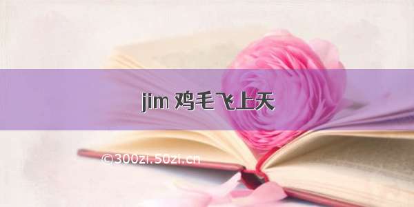 jim 鸡毛飞上天