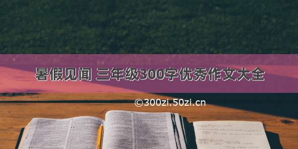 暑假见闻 三年级300字优秀作文大全