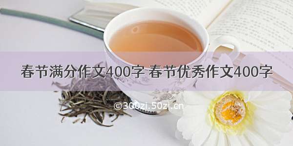 春节满分作文400字 春节优秀作文400字