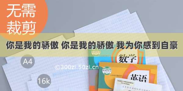 你是我的骄傲 你是我的骄傲 我为你感到自豪