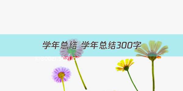 学年总结 学年总结300字