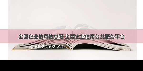 全国企业信用信息网 全国企业信用公共服务平台