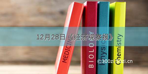 12月28日《经济观察报》