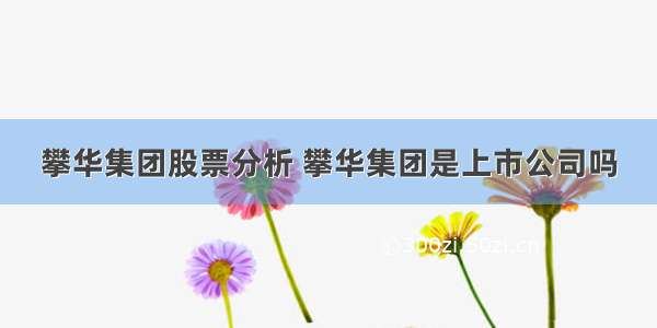 攀华集团股票分析 攀华集团是上市公司吗