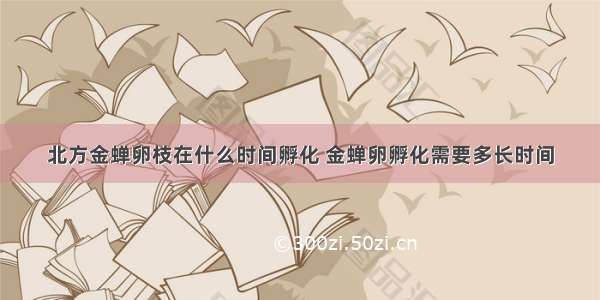 北方金蝉卵枝在什么时间孵化 金蝉卵孵化需要多长时间