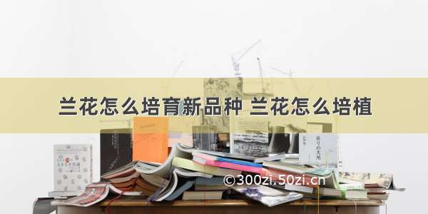 兰花怎么培育新品种 兰花怎么培植