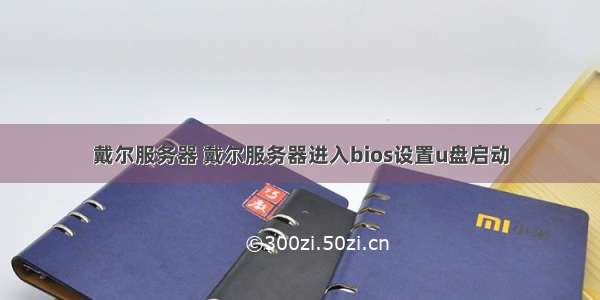 戴尔服务器 戴尔服务器进入bios设置u盘启动