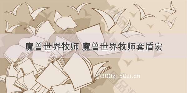 魔兽世界牧师 魔兽世界牧师套盾宏