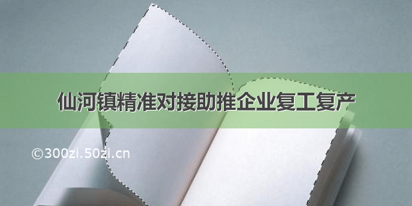 仙河镇精准对接助推企业复工复产