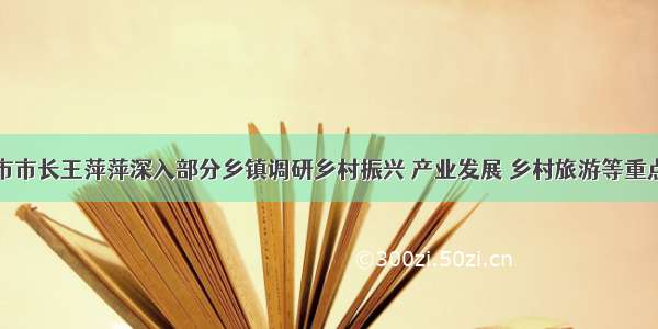 磐石市市长王萍萍深入部分乡镇调研乡村振兴 产业发展 乡村旅游等重点工作