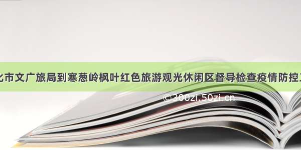 敦化市文广旅局到寒葱岭枫叶红色旅游观光休闲区督导检查疫情防控工作