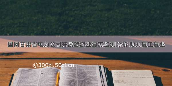 国网甘肃省电力公司开展旅游业复苏监测分析 助力复工复业