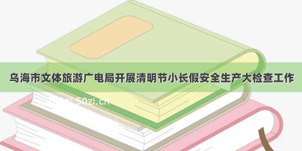 乌海市文体旅游广电局开展清明节小长假安全生产大检查工作