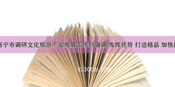 杨逢春在西宁市调研文化旅游产业发展工作时强调 发挥优势 打造精品 加快推进文化旅