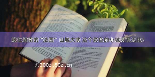 藏在越南的“法国” 山城大叻 这个彩色的小城浪漫无比！