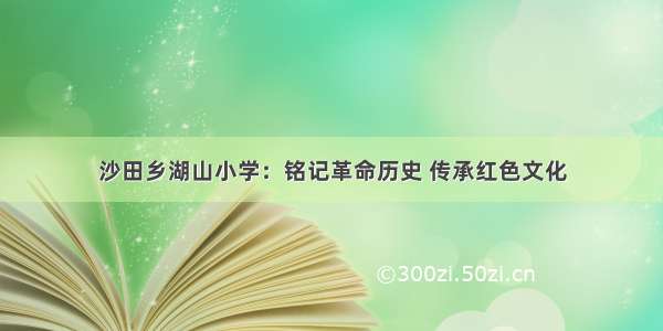 沙田乡湖山小学：铭记革命历史 传承红色文化