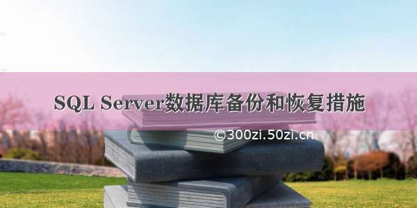 SQL Server数据库备份和恢复措施