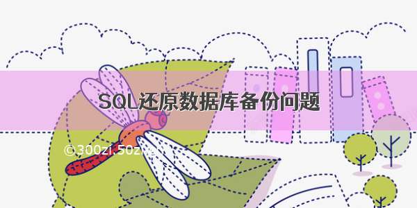 SQL还原数据库备份问题