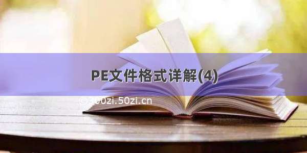 PE文件格式详解(4)