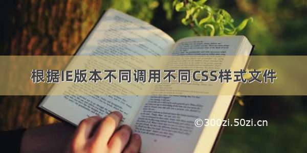 根据IE版本不同调用不同CSS样式文件