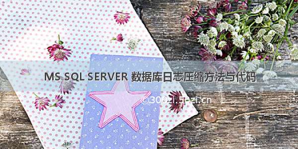 MS SQL SERVER 数据库日志压缩方法与代码