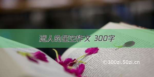 迷人的星空作文 300字