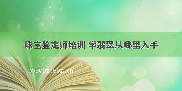 珠宝鉴定师培训 学翡翠从哪里入手