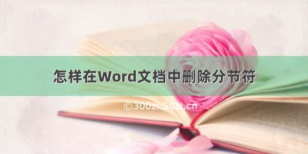 怎样在Word文档中删除分节符