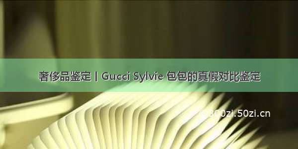 奢侈品鉴定丨Gucci Sylvie 包包的真假对比鉴定